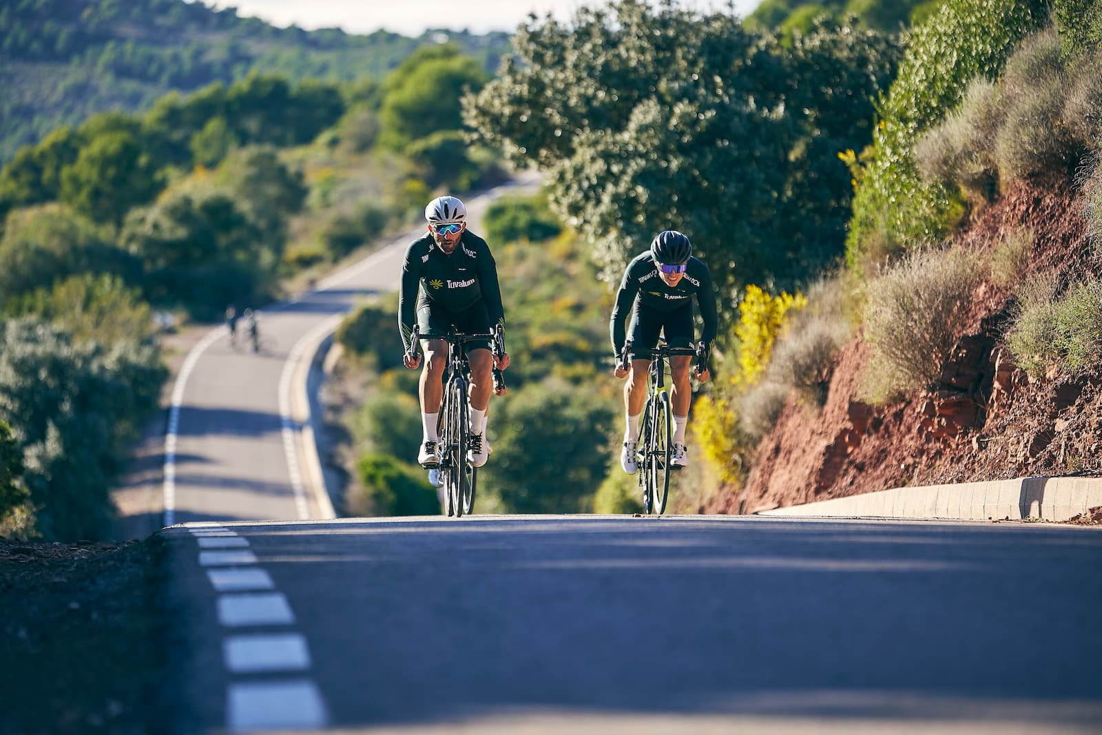 A fast-moving peloton of cyclists racing together on a road, demonstrating teamwork, speed, and endurance.
