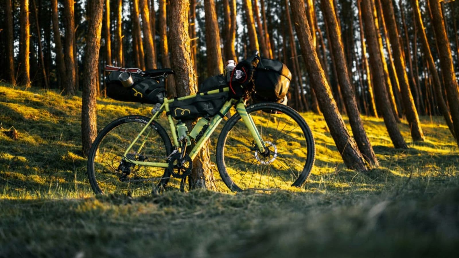 Adjust Your Bike Gears for Smoother Shifting